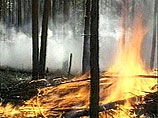 В Сибири бушует 70 очагов лесных пожаров. Больше всего - в Забайкалье
