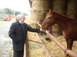 Глава Минсельхоза Омской области умер в больнице после ДТП Глава Минсельхоза Омской области умер в больнице после ДТП