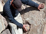 В скальных породах у селения Химой в Шаройском районе археологи обнаружили шарообразные окаменелости диаметром от 20 сантиметров до одного метра