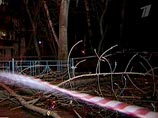 МЧС предупреждает центр России о сильном ветре, провоцирующем ЧС МЧС предупреждает центр России о сильном ветре, провоцирующем ЧС