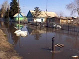 В Центральную Россию возвращаются заморозки, а в Москве сильный ветер создал ряд ЧС В Центральную Россию возвращаются заморозки, а в Москве сильный ветер создал ряд ЧС