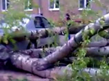 Механические повреждения получили 27 автомобилей Механические повреждения получили 27 автомобилей