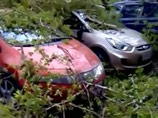 Первомайский ураган повалил в Москве почти 300 деревьев, шесть человек пострадали (ВИДЕО) Первомайский ураган повалил в Москве почти 300 деревьев, шесть человек пострадали (ВИДЕО)