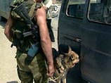 В Северной Осетии задержаны две подозреваемые в подготовке теракта, сообщили ИТАР-ТАСС в правоохранительных органах республики. Обнаружить мощную бомбу помогла собака