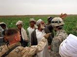 Таджикистан предлагает заинтересованным государствам выкупать опий у афганских крестьян