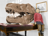 Редкий скелет динозавра ушел с молотка в Нью-Йорке, вопреки желанию президента Монголии