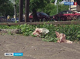 С момента первого нападения до задержания преступника, который внешне выглядел вполне безобидным мужчиной славянской внешности и с плюшевым медведем в руках, прошло четыре часа С момента первого нападения до задержания преступника, который внешне выглядел вполне безобидным мужчиной славянской внешности и с плюшевым медведем в руках, прошло четыре часа