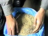 В Ростовской области проведена крупнейшая операция по борьбе с наркомафией В Ростовской области проведена крупнейшая операция по борьбе с наркомафией