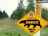 В Канаде казнили медведя, который съел в лесу убийцу-мстителя