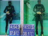 Немецкий фридайвер Том Ситас установил новый мировой рекорд по статическому апноэ - задержке дыхания на минимальной глубине в расслабленном состоянии. Он продержался под водой без воздуха 22 минуты и 22 секунды