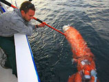 Австралийский журналист и рыболов-любитель Эл Макглэшен во время одной из своих поездок на рыбалку, находясь приблизительно в 50 километрах от Джервис-Бей, случайно наткнулся на останки океанского титана