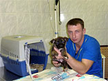 Горсуд Петербурга снизил до 8 лет строгого режима срок наказания ветеринара, осужденного за продажу кетамина