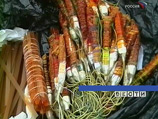 По оценке экспертов-взрывотехников, схрон был оборудован боевиками в период 2005-2006 годов По оценке экспертов-взрывотехников, схрон был оборудован боевиками в период 2005-2006 годов