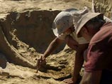 В Европе палеонтологи нашли отлично сохранившийся отпечаток скелета детеныша динозавра, покрытого ворсистым оперением, наподобие волосков, и обладавшего пушистым "беличьим" хвостом