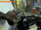 Такое решение было принято после показа телеканалом Al Jazeera документального фильма о причинах смерти бывшего палестинского лидера, в котором о рассказывалось о результатах исследования его личных вещей Такое решение было принято после показа телеканалом Al Jazeera документального фильма о причинах смерти бывшего палестинского лидера, в котором о рассказывалось о результатах исследования его личных вещей