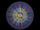 Теория SUSY предполагает, что у всех известных элементарных частиц существуют "двойники" - суперсимметричные частицы, которые "родились" вместе с "обычными" частицами в момент Большого взрыва
