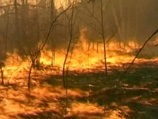 В то же время в Якутии зарегистрировано 22 лесных пожара на общей площади 2071,5 гектаров - общая территория, охваченная огнем, за минувшие сутки увеличилась более чем в два раза