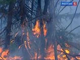 Красноярск затянуло дымом лесных пожаров, и самолеты не могут взлететь на тушение
