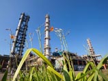 "Газпром нефть" фактически остановила выпуск бензина "Газпром нефть" фактически остановила выпуск бензина