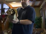 Американец нашел на чердаке клад ценой 2,6 млн долларов, целиком состоящий из виски