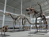 Ученые разгадали, в какой позе занимались сексом динозавры (ВИДЕО)