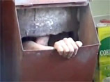 ВИДЕО из Владивостока: суровый таксист запихнул безденежного пассажира в мусоропровод ВИДЕО из Владивостока: суровый таксист запихнул безденежного пассажира в мусоропровод