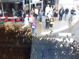 В Швеции огромный рой из почти 5 тысяч пчел в течение нескольких часов осаждал офисное здание в центре Стокгольма, вызвав панику среди прохожих и сотрудников офисов