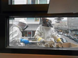На помощь "осажденным" прибыли эксперты-пчеловоды, облаченные в специальные защитные костюмы