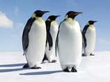 Консьержи Quintessentially в свою очередь вспомнили, что для летней вечеринки в Монако русским заказчикам понадобились пингвины, настоящий снег и каток