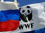 После "черной пятницы" в Госдуме западные СМИ поставили российскому режиму психиатрический диагноз После "черной пятницы" в Госдуме западные СМИ поставили российскому режиму психиатрический диагноз