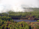 Жара в Сибири стала катаклизмом: горят леса, мелеет Енисей, уничтожается урожай
