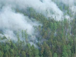 Сибирь задыхается от лесных пожаров: горят 15 тысяч гектаров леса, томский аэропорт вновь не работает