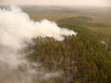 Самолеты и вертолеты МЧС РФ в субботу вылили на горящие леса Томской области 1,11 тысячи тонн воды