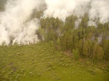 В 11 районах области действуют 33 пожара на общей площади 8,357 тысячи гектаров