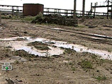 Прокуратура Республики Алтай настаивает на немедленной утилизации 110 тонн ртутьсодержащих отходов, брошенных практически под открытым небом на территории заброшенного завода