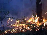 Сейчас в СФО действует 124 лесных пожара на площади 17 тысяч 793 га