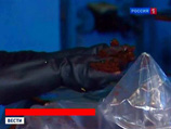 СМИ: в Брянской области на заводе по утилизации химоружия произошла утечка, данные о пострадавших разнятся