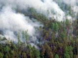 Почти 40 спасателей, ведущих борьбу с лесными пожарами в Енисейском районе Красноярского края, отрезаны огнем от внешнего мира