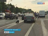 Утром в субботу произошло ДТП с участием четырех автомобилей на Кутузовском проспекте в районе Поклонной горы, в результате которого два человека пострадали