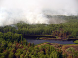 Общая площадь лесных пожаров в Томской области за минувшие сутки сократилась на 25% и на утро воскресенья составила 5,8 тысячи гектаров, что является самым низким показателем за неделю
