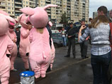 В Санкт-Петербурге региональное управление Следственного комитета прекратило уголовное дело в отношении активиста движения "Хрюши против", Андрея Богомолова, обвиняемого в применении насилия в отношении сотрудника полиции В Санкт-Петербурге региональное управление Следственного комитета прекратило уголовное дело в отношении активиста движения "Хрюши против", Андрея Богомолова, обвиняемого в применении насилия в отношении сотрудника полиции