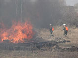 По данным пресс-службы, природным пожаром за три дня пройдено 1,2 тыс. га
