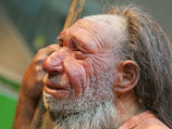 Неандертальцы, вымершие 40 тысяч лет назад, вопреки распространенному мнению, не скрещивались с представителями вида homo sapiens