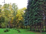 Прощай, лето. Метеорологи предрекли центральной России первое серьезное похолодание Прощай, лето. Метеорологи предрекли центральной России первое серьезное похолодание