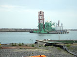 В образцах терпуга, которого выловили в пределах 20-километровой зоны вокруг "Фукусимы-1", уровень содержания цезия составили 25,8 тысяч беккерелей на кг при норме в 100 беккерелей на кг