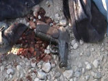 В Дагестане убит капитан полиции, военнослужащего застрелили из "Камаза" с сеном В Дагестане убит капитан полиции, военнослужащего застрелили из "Камаза" с сеном