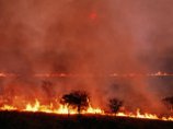 В США запалившие один из крупнейших лесных пожаров получили по два дня тюрьмы