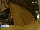 Из государственных запасов зерна пропадают десятки тысяч тонн зерна