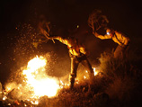 Сильные лесные пожары в испанской провинции Малага на юге страны привели к эвакуации более пяти тысяч человек
