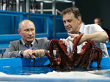 В зоне, где разводят осьминогов, одного из них представитель океанариума достал и предложил Путину погладить